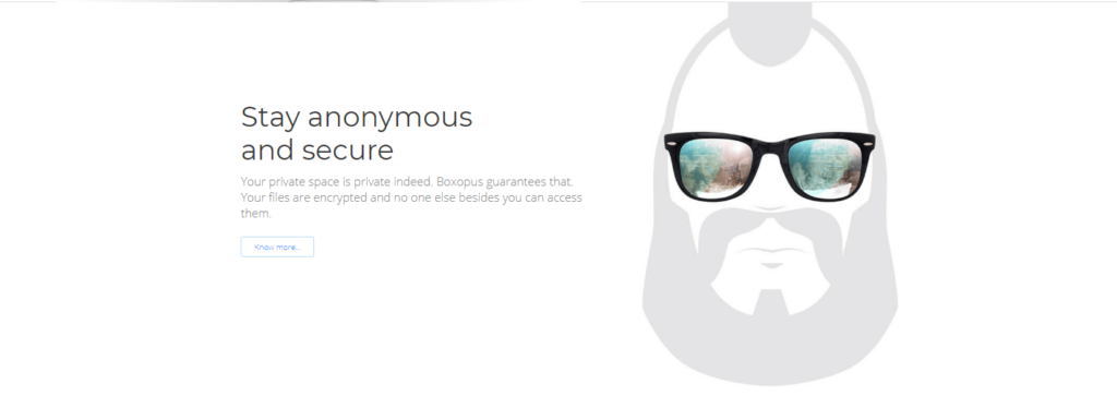 Boxopus and their view of security